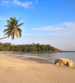 ビンタン島