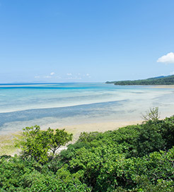 西表島