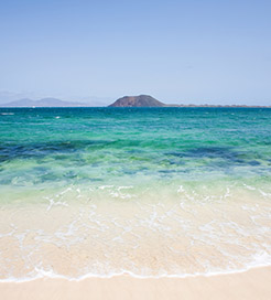 ロボス島